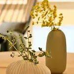 Gruene Haus - Apartment *