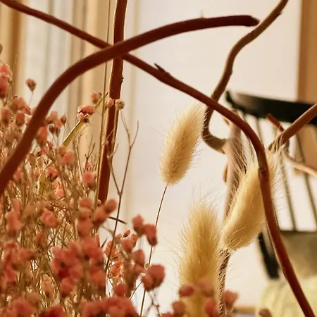 Gruene Haus - Lörrach