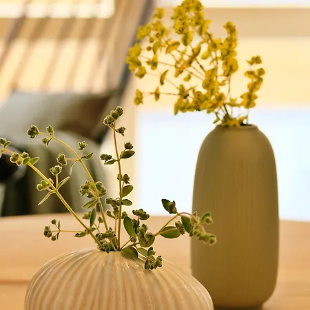 Grüne Haus - Apartment *