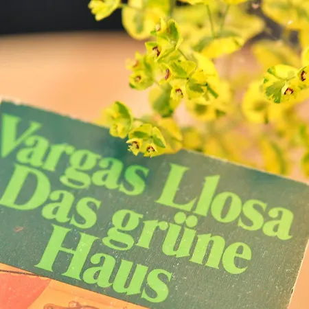 Gruene Haus - Daire Lörrach