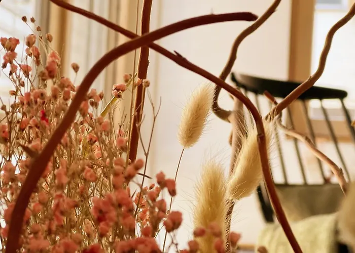 Gruene Haus - Lörrach