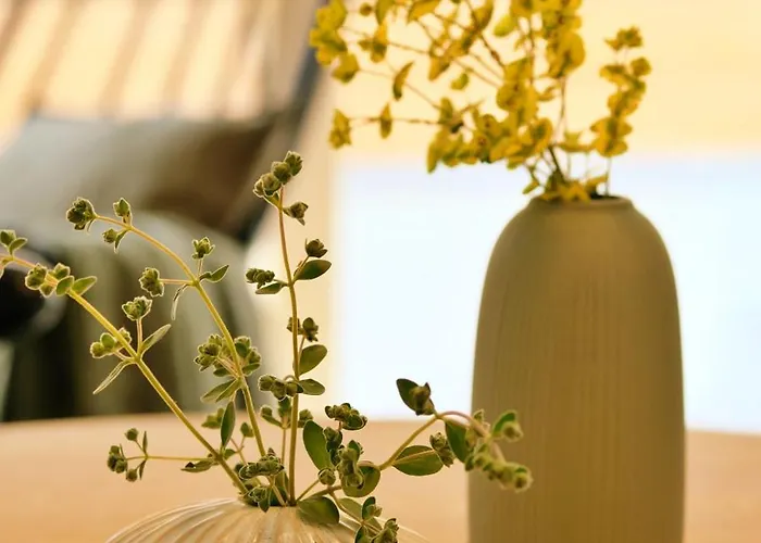 Gruene Haus - Appartamento *